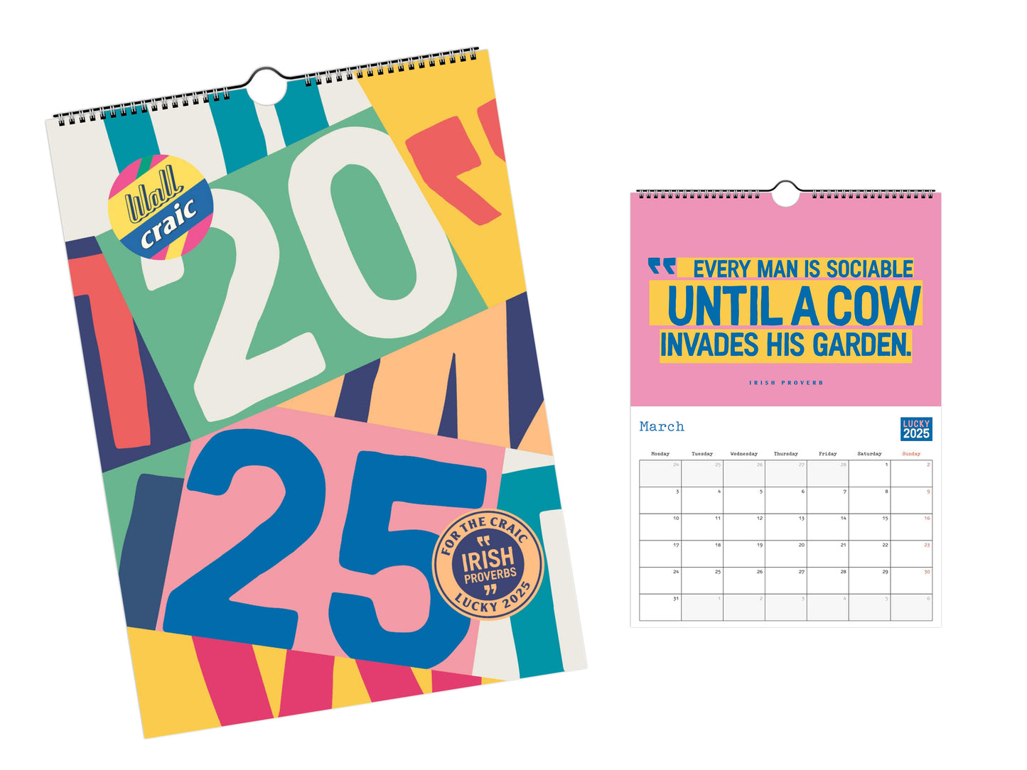 Irish Sayings Wall Calendars 2025 (US & CA)